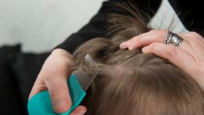 Back to School – Pharmacists’ advice on treating Head Lice
 