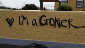 The writing is on the wall: Bridgeways Family Resource Centre in Ballymahon to reopen in response to 'cry for help'