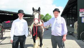 Taking in Longford's history and culture at a glance