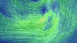 Council advises extreme caution as status orange wind warning in Longford remains in place