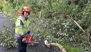 Pictures:  Fallen trees and debris being removed on north Longford roads this morning