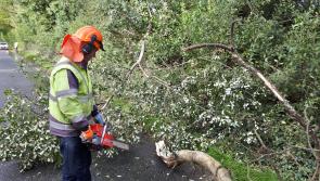 Alert: Road closure due to fallen trees in Longford 