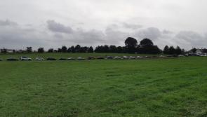 Disappointed crowds experiencing long delays as they try to leave cancelled National Ploughing Championships