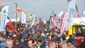 National Ploughing Championships will open on Friday