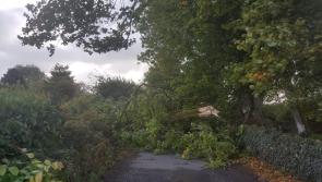 ESB to deploy extra crews to Longford in bid to restore power to affected homes and businesses
