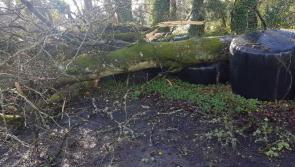 Longford counts cost of Storm Ali onslaught