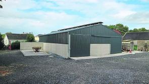Teagasc:  Advice on TAMS Grant For Dairy Farmers