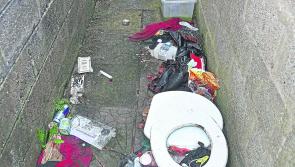 Concerns expressed over 120 bags of rubbish being dumped in Longford town each week