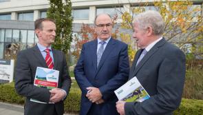 Lakeland Dairies and LacPatrick Dairies agree Merger Terms