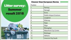Positive news as Longford climbs to fifth place in IBAL survey of litter levels