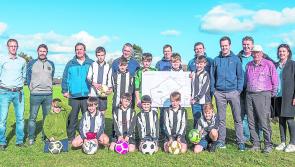 Moves afoot in Lanesboro for astro turf pitch