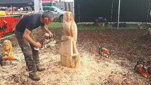 Watch: Craftsman making chainsaw sculptures draws a crowd at #Ploughing17