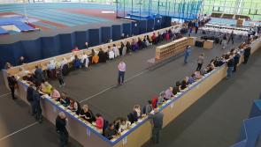 Casey outperforming Higgins in number of Longford boxes