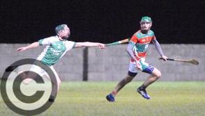 Longford hurling kings Wolfe Tones conquer Wicklow opponents Avondale
