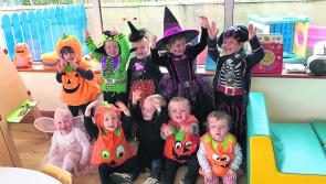 Longford Leader gallery: Stonepark's Kids Paradise creche gear up for Halloween with hugely successful Trick or Treat Day 