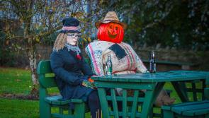 Pictures | Village of Abbeyshrule goes all out for Halloween with its 'Ghoul-Scare Trail'