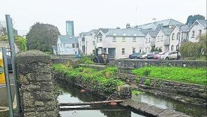 Fury over 'needless' Longford vandalism