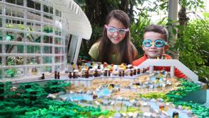 Center Parcs are set to turn Longford into a 29.5'C Subtropical Swimming Paradise 