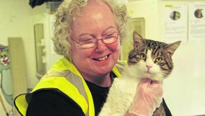 Longford volunteer Helen nominated for national award