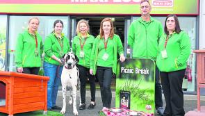 Longford pet owners set to pounce on Maxi Zoo’s Black Friday deals