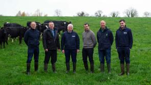 Lakeland Dairies and Macra na Feirme launch Land Mobility Programme