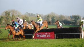 Get close to the action at Longford & Westmeath Harriers Point to Point in Ballinalee