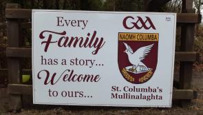 GALLERY | Mullinalaghta GAA family gripped by Leinster final fever as good luck messages are erected across north Longford 