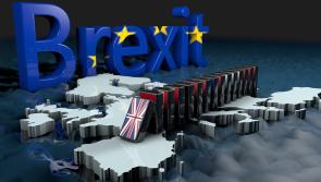 Ireland must remain firm on backstop following Westminster vote