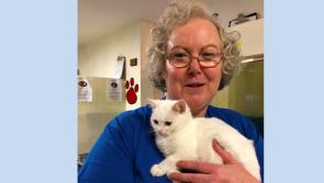 Three Longford ISPCA volunteers shortlisted for Volunteer Ireland Awards 2018