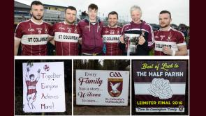 Half parish, total pride: The story behind Mullinalaghta's meteoric rise