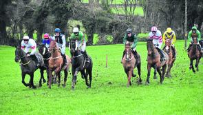 Large crowds take in Co Longford Point to Point 