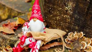 Christmas Poem by Newtownforbes pupil Éanna Madden