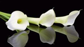 Late Kenagh lady Molly Kenny possessed a lovely heart and a beautiful smile