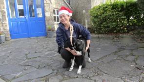 Mary Daly will be caring for neglected animals with no home to call their own at the ISPCA Centre in Longford on Christmas Day