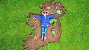People of Longford encouraged to apply for €75k funding pool to 'Get Ireland Growing'