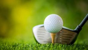 &ldquo;Fore!&rdquo; Golf balls aimed at Midlands house where 99 roof tiles and Mercedes damaged