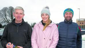 Edgeworthstown Sports Hub official opening takes place this week