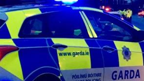 Man held after €115k drugs and cash seizure