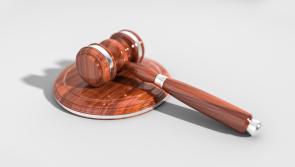 Longford resident jailed for distributing child porn drops appeal