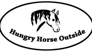 Hungry Horse Outside in Longford issues urgent appeal for voluntary filmmaker