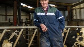 Longford Leader farming: ICMSA critical of 'open season' on farmers