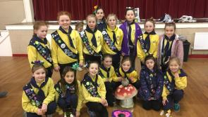 Ardagh Brownies hosting a Taster Night on Thursday, January 31