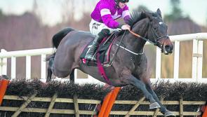 Cheltenham results: Day 1 racing, Tuesday, March 12