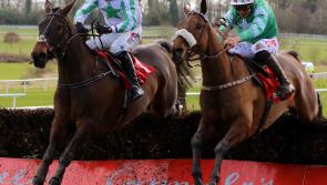Cheltenham anti-climax for Longford race fans as Presenting Percy's Gold Cup bid flounders 