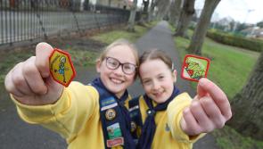Girl Guides and Brownies in Longford urged to take the Engineers Week Challenge