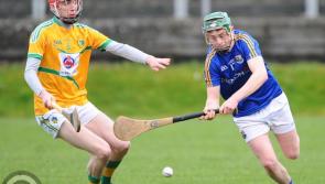 Longford hurlers beat Leitrim to maintain league title challenge  
