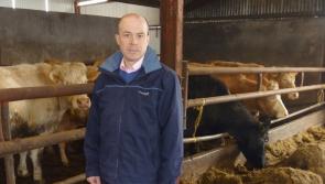 Longford beef farmers could be losing €140 per head on defective grading