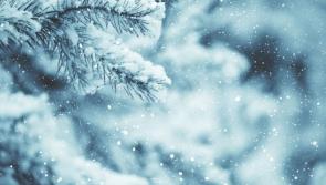Risk of heavy snowfall in Longford as Met Éireann issues Status Yellow snow and ice warning