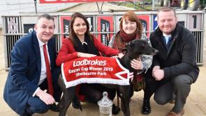 Longford owner Reggie Walsh and Gurteen Feather bidding for Ladbrokes Easter Cup final success