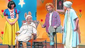 Making theatre available to everyone in Longford